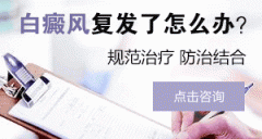 ���°����������� 